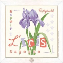 L'iris - J017 - Lili points