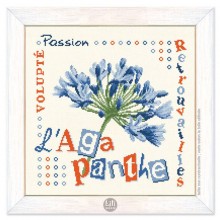 L'agapanthe - J020 - Lili points