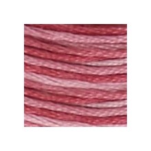 DMC 6-Strand Floss Art.117 - 99