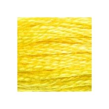 DMC 6-Strand Floss Art.117 - 307