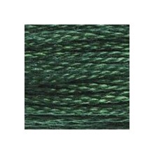 DMC 6-Strand Floss Art.117 - 319