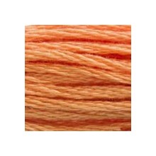 DMC 6-Strand Floss Art.117 - 402