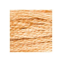 DMC 6-Strand Floss Art.117 - 437