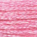DMC 6-Strand Floss Art.117 - 604