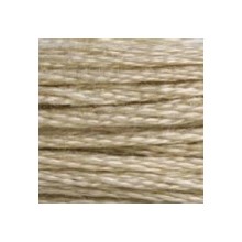 DMC 6-Strand Floss Art.117 - 613