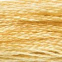 DMC 6-Strand Floss Art.117 - 676