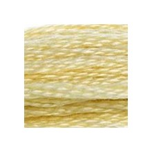 DMC 6-Strand Floss Art.117 - 677