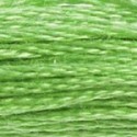 DMC 6-Strand Floss Art.117 - 703