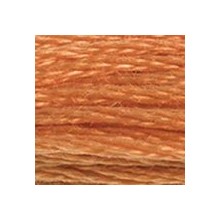 DMC 6-Strand Floss Art.117 - 721