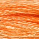 DMC 6-Strand Floss Art.117 - 722