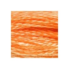 DMC 6-Strand Floss Art.117 - 722