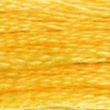 DMC 6-Strand Floss Art.117 - 725