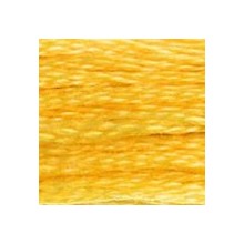 DMC 6-Strand Floss Art.117 - 725