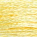 DMC 6-Strand Floss Art.117 - 727