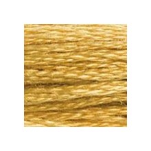 DMC 6-Strand Floss Art.117 - 729