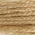 DMC 6-Strand Floss Art.117 - 738