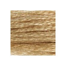 DMC 6-Strand Floss Art.117 - 738