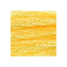DMC 6-Strand Floss Art.117 - 744