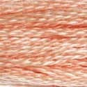 DMC 6-Strand Floss Art.117 - 754