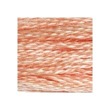 DMC 6-Strand Floss Art.117 - 754