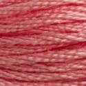 DMC 6-Strand Floss Art.117 - 760