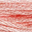 DMC 6-Strand Floss Art.117 - 761