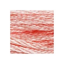 DMC 6-Strand Floss Art.117 - 761