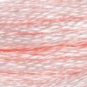 DMC 6-Strand Floss Art.117 - 818