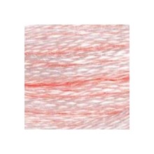 DMC 6-Strand Floss Art.117 - 818