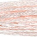 DMC 6-Strand Floss Art.117 - 819