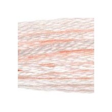 DMC 6-Strand Floss Art.117 - 819