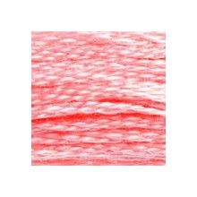 DMC 6-Strand Floss Art.117 - 894