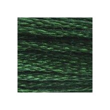 DMC 6-Strand Floss Art.117 - 895