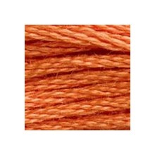 DMC 6-Strand Floss Art.117 - 922