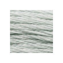 DMC 6-Strand Floss Art.117 - 928