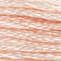 DMC 6-Strand Floss Art.117 - 948
