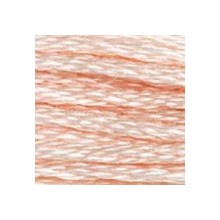 DMC 6-Strand Floss Art.117 - 948