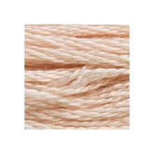 DMC 6-Strand Floss Art.117 - 950