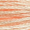 DMC 6-Strand Floss Art.117 - 951