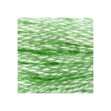 DMC 6-Strand Floss Art.117 - 955