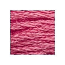 DMC 6-Strand Floss Art.117 - 961
