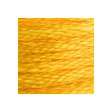 DMC 6-Strand Floss Art.117 - 972