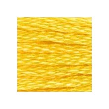 DMC 6-Strand Floss Art.117 - 973