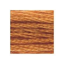 DMC 6-Strand Floss Art.117 - 976