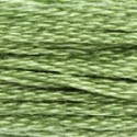 DMC 6-Strand Floss Art.117 - 989