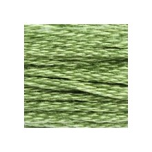DMC 6-Strand Floss Art.117 - 989