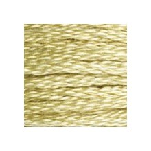 DMC 6-Strand Floss Art.117 - 3046