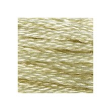 DMC 6-Strand Floss Art.117 - 3047