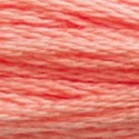DMC Coton mouliné Art.117 - 3341