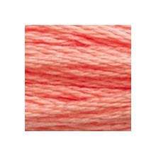 DMC 6-Strand Floss Art.117 - 3341